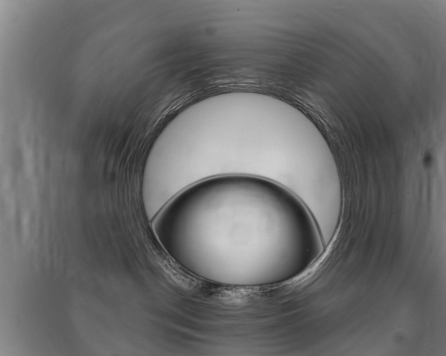 X0000091460190200708161115