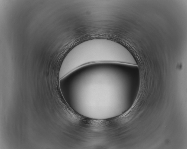 X0000091460192200708161115