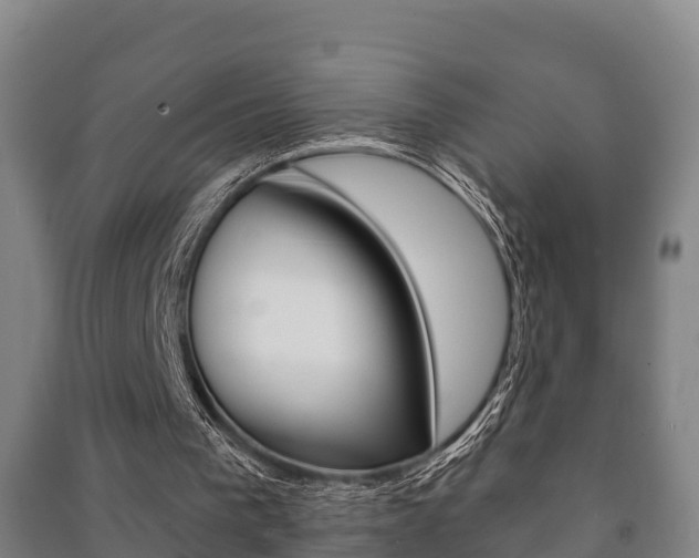 X0000091460193200708161114