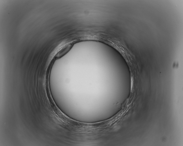X0000091460195200708161114