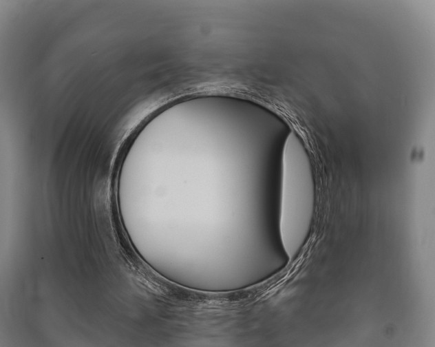 X0000091460196200708161114