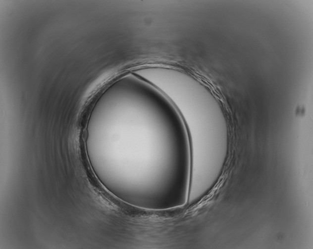 X0000091460197200708161114