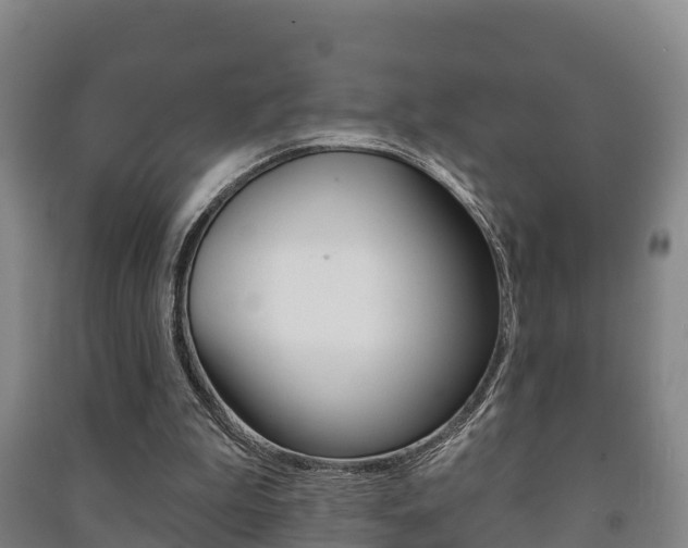 X0000091460199200708161114