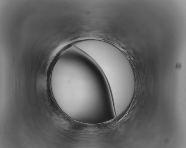 X0000091460200200708161114
