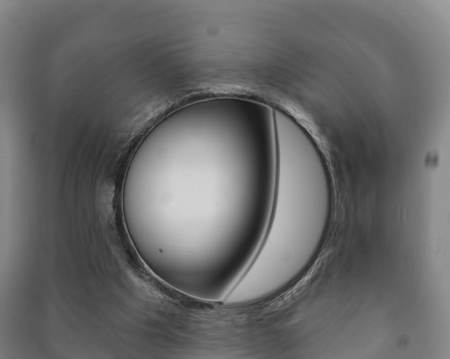 X0000091460201200708161114