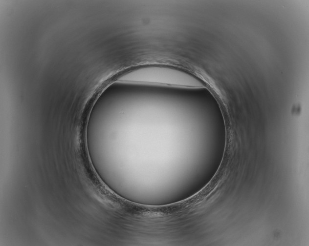 X0000091460203200708161114
