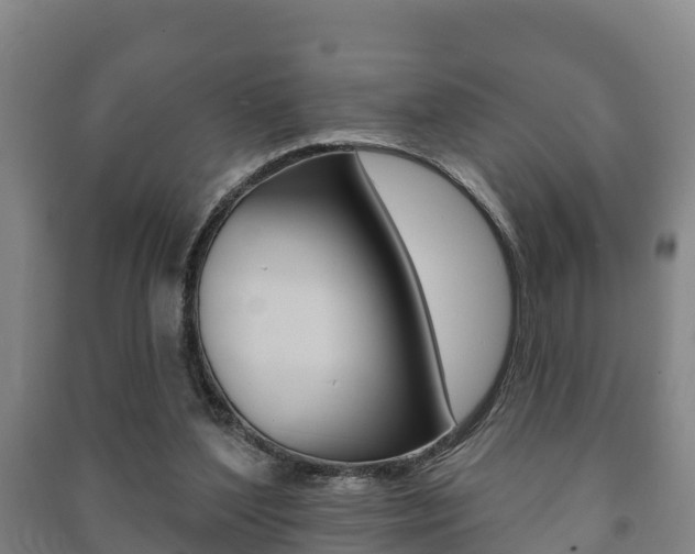 X0000091460204200708161114