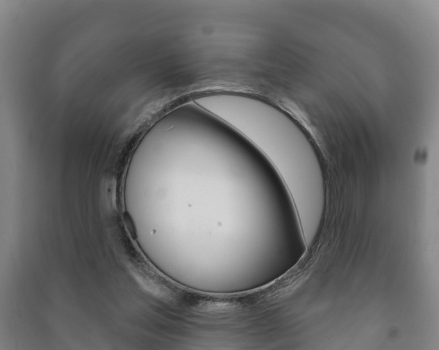 X0000091460205200708161114