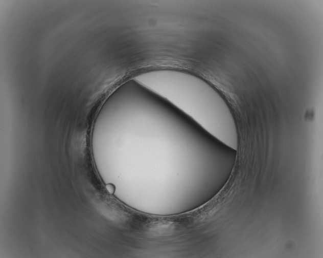 X0000091460206200708161114