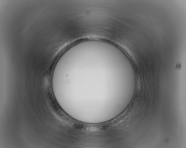 X0000091460208200708161114