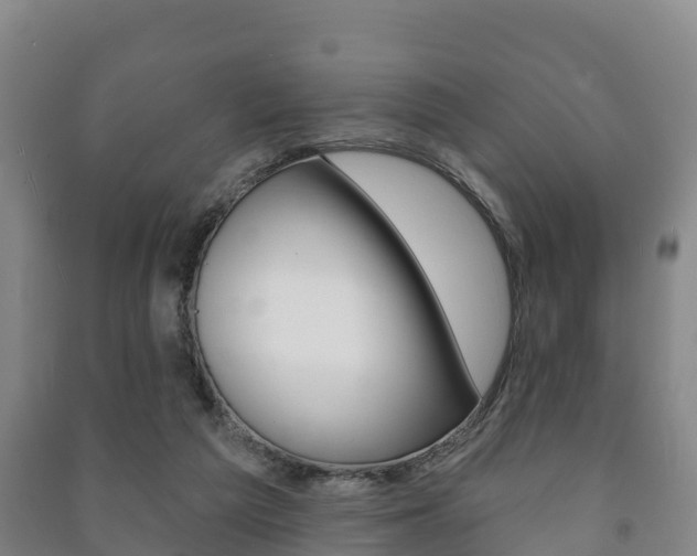X0000091460209200708161114