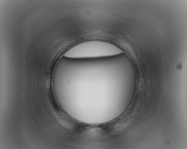 X0000091460210200708161114