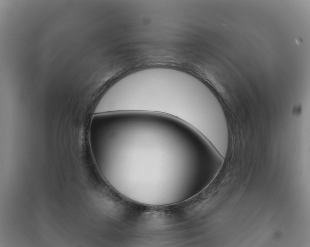 X0000091460211200708161114
