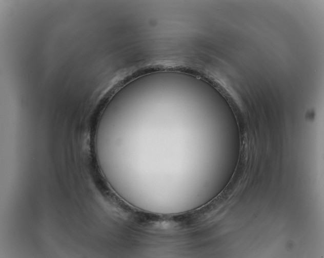 X0000091460212200708161114