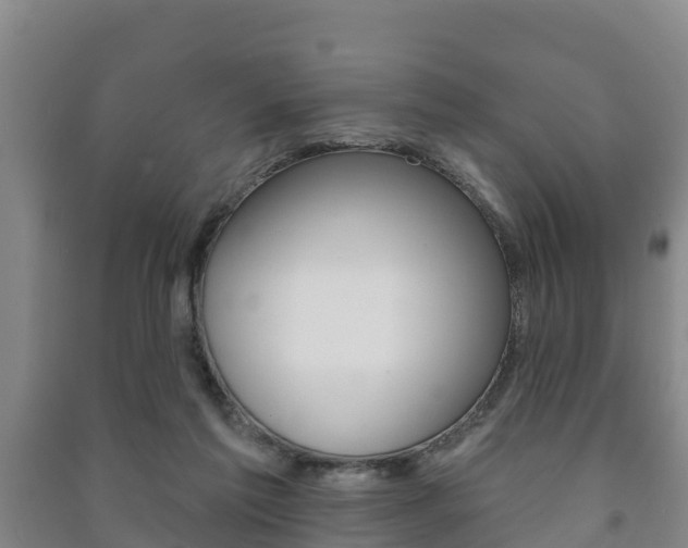 X0000091460213200708161114