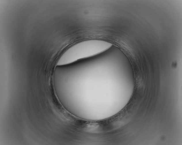 X0000091460214200708161114