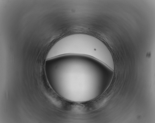 X0000091460215200708161114