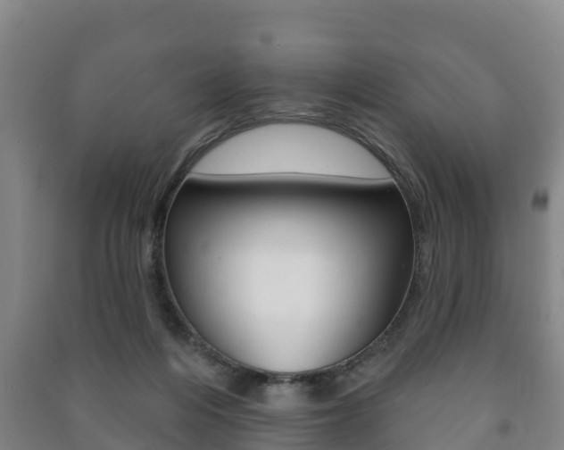 X0000091460216200708161114