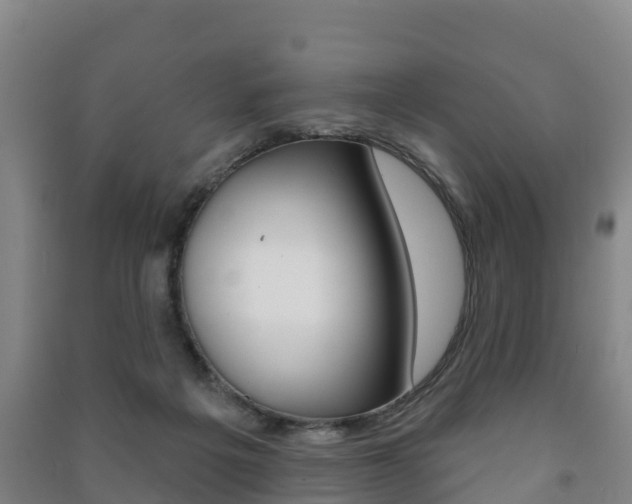 X0000091460217200708161114