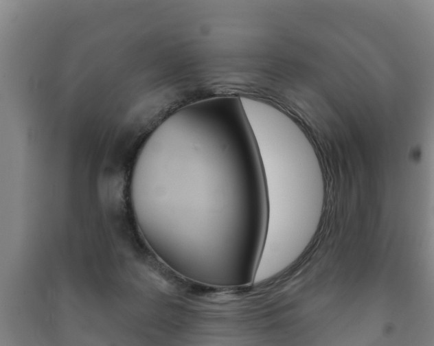 X0000091460219200708161114