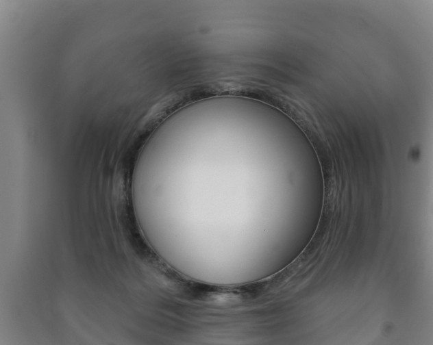 X0000091460220200708161114
