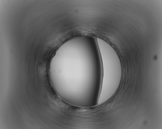 X0000091460221200708161114