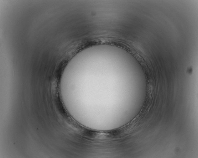X0000091460222200708161114