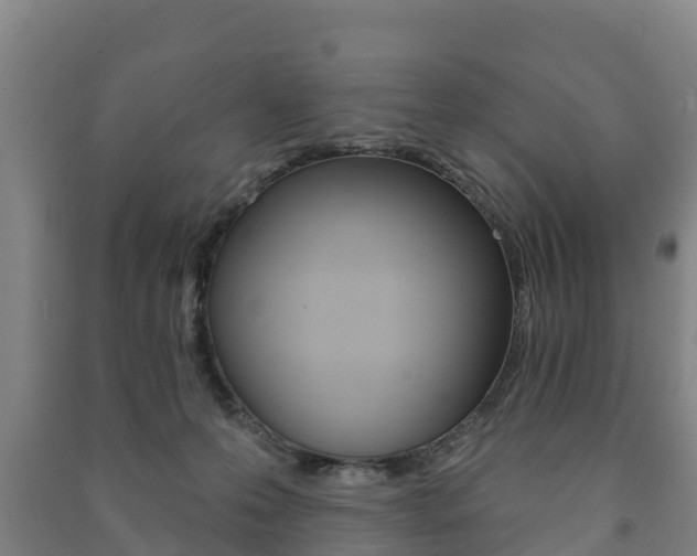 X0000091460223200708161114