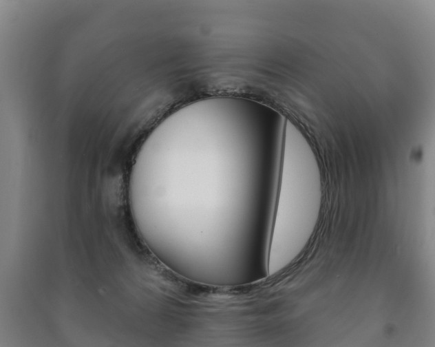 X0000091460224200708161114
