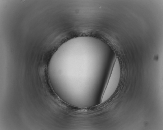 X0000091460225200708161114