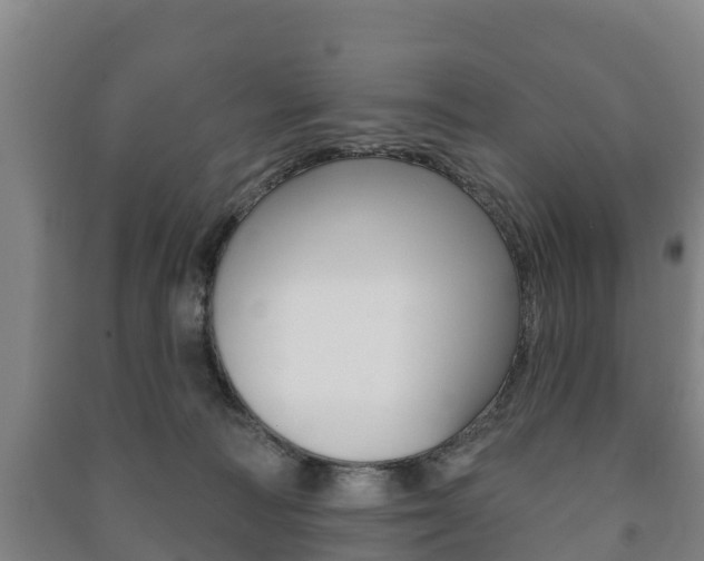 X0000091460226200708161114