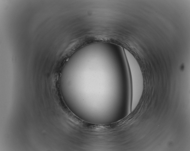 X0000091460229200708161114