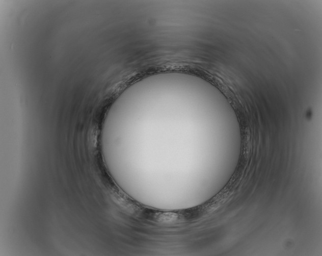 X0000091460230200708161114