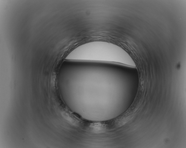 X0000091460231200708161114