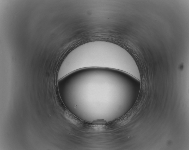 X0000091460233200708161114