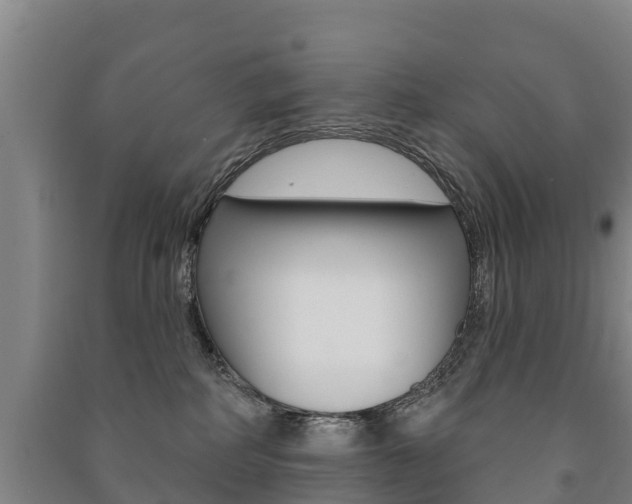 X0000091460234200708161114