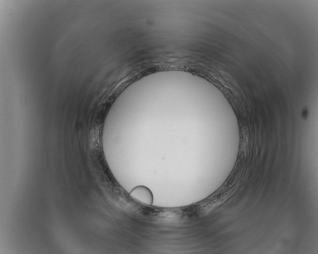 X0000091460236200708161114