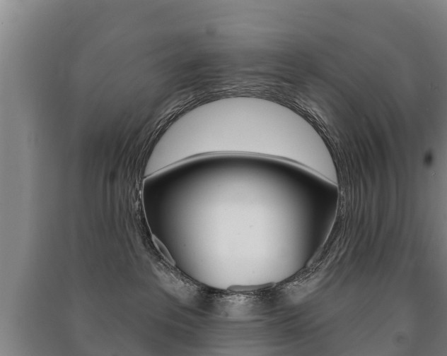 X0000091460237200708161114