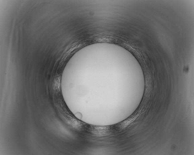 X0000091460240200708161114