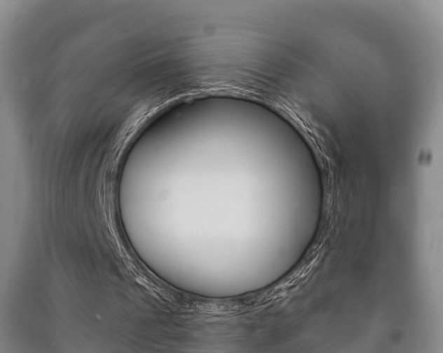 X0000091460241200708161113