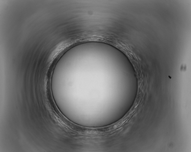 X0000091460242200708161113