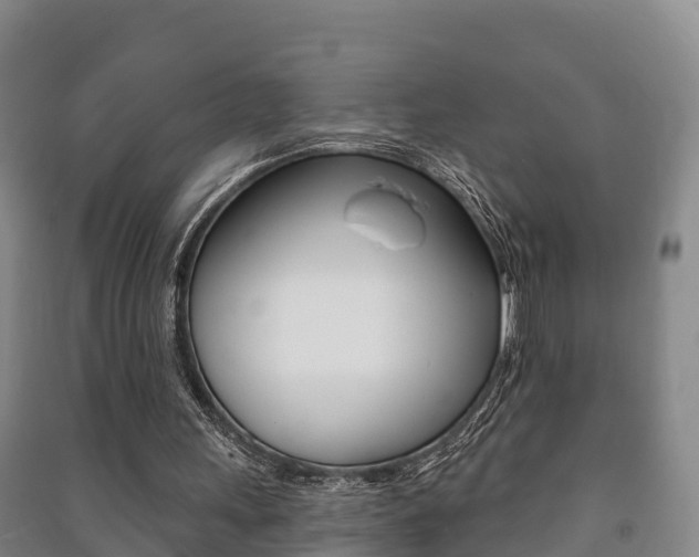 X0000091460243200708161113