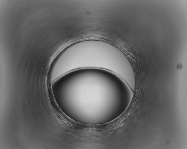 X0000091460244200708161113