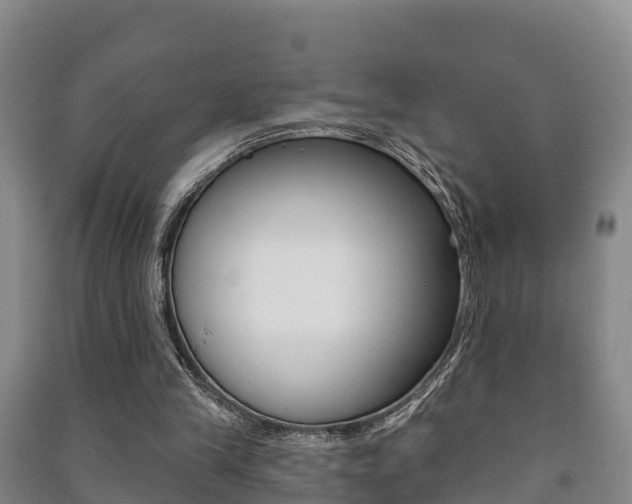 X0000091460245200708161113