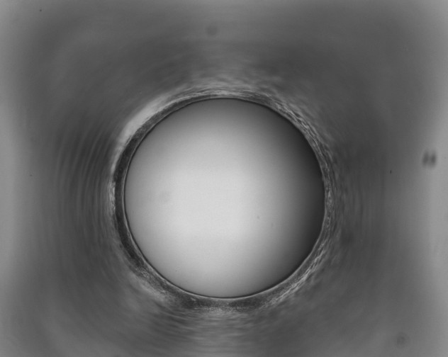 X0000091460246200708161113