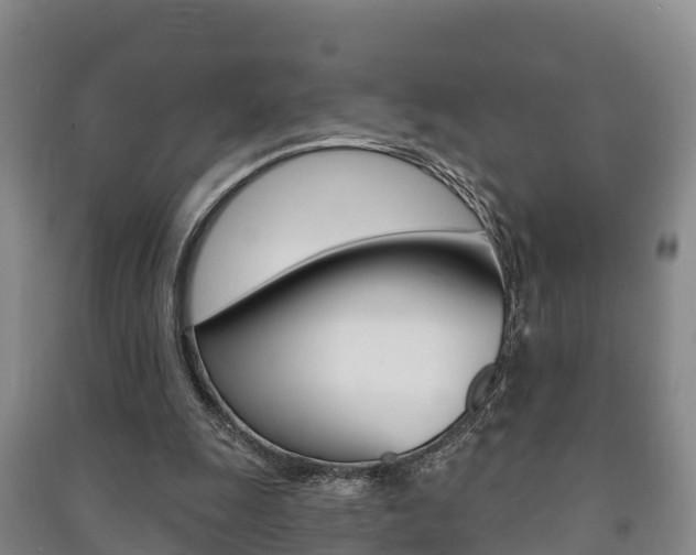 X0000091460247200708161113