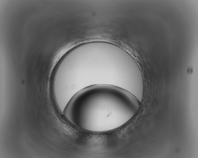 X0000091460248200708161113