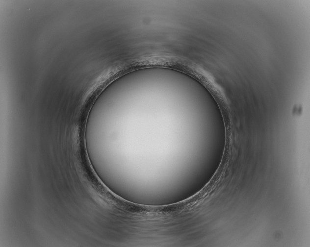 X0000091460250200708161113