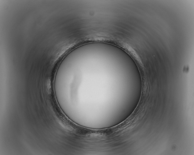 X0000091460251200708161113