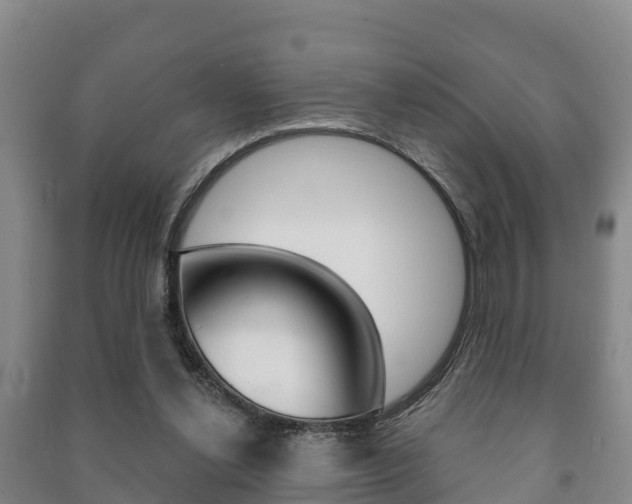 X0000091460252200708161113